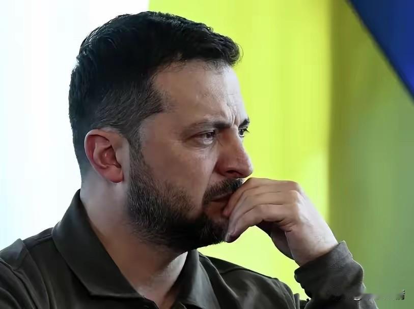 泽连斯基终于服软！据斯洛伐克经济部昨天消息，明天（26日），乌克兰将恢复通过“友