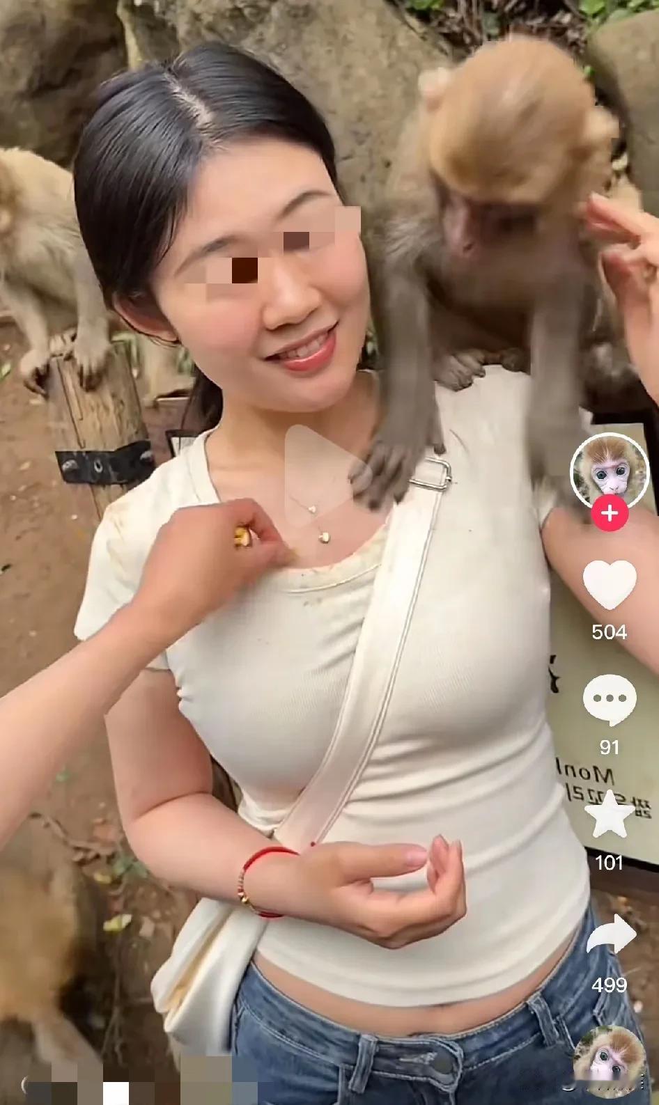 太恶心了！一些账号为了博取流量，往女孩的领口里塞玉米粒，引导猴子去女孩领口里拿玉