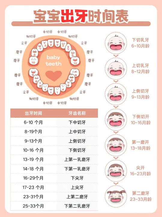 新手爸妈必看！宝宝出牙全攻略👶🦷