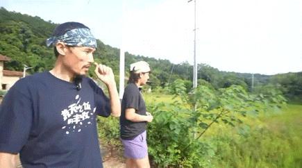 天呢，这是什么田间小课堂！瓦依那不仅科普水稻小知识，还吹各种不同种类的树叶！没想
