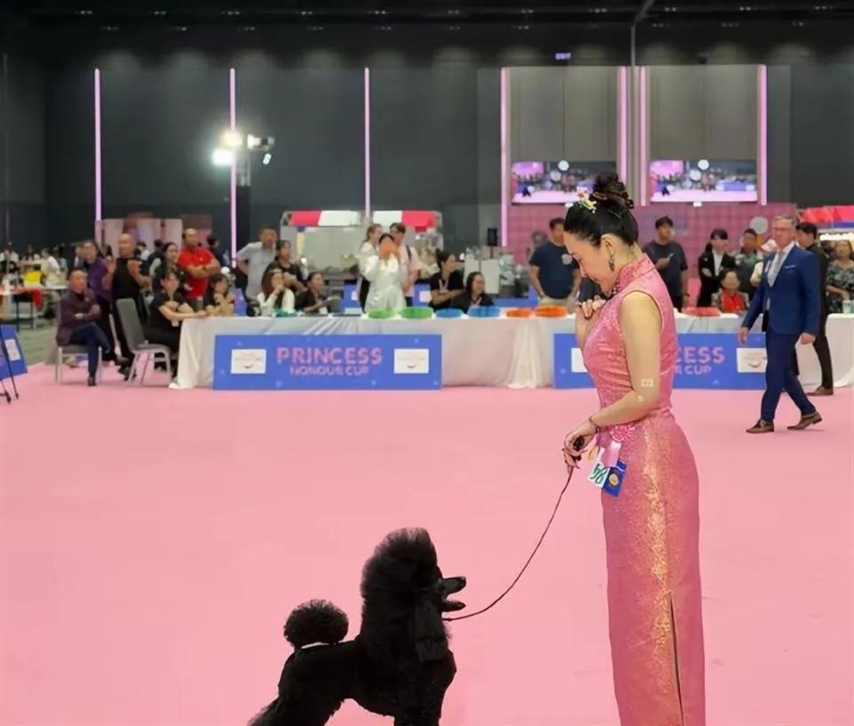 初心藏热爱，跨界亦荣光
 谁能想到昔日荧幕里惊艳时光的女演员，放下明星光环沉下心