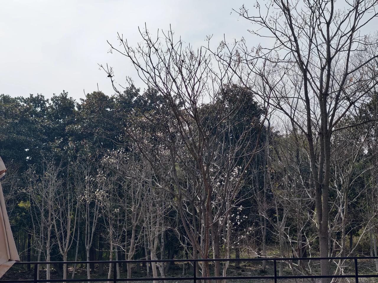 的确可以让更多的孩子有高中读，经历下高考的风雨！
教育不就不是为了培养赞美的孩子