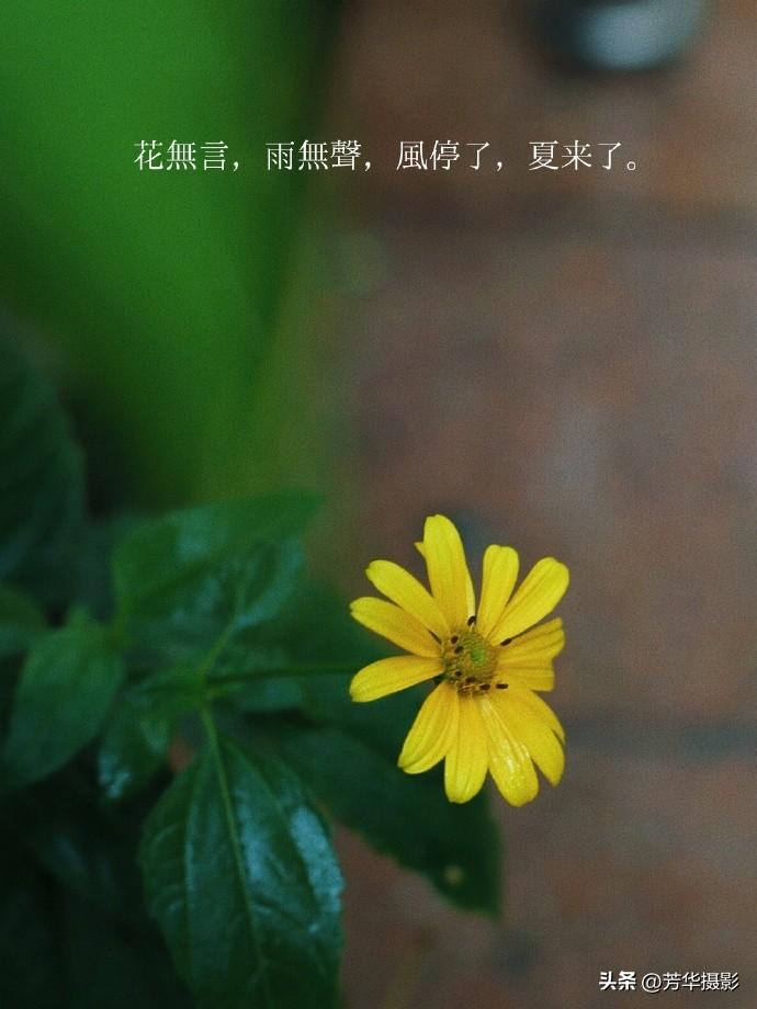 你会发现那些明亮的人
不止好看
他们自律，有边界感
温柔有高度，讲逻辑
穿衣有品