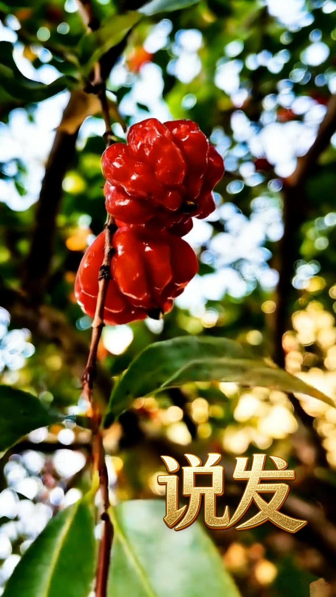 父母渐老，钱与陪伴，从来不是二选一的命题。
这是刻在代际骨血里的现实，是中老年群