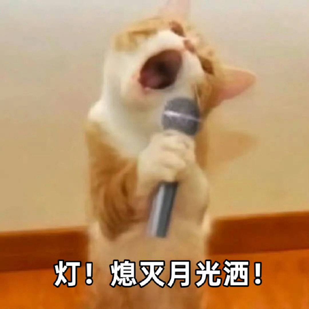 太忙了今天甚至一首歌都没听，开洒！ 