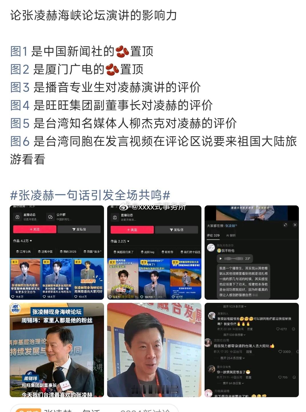 张凌赫海峡论坛演讲的影响力 