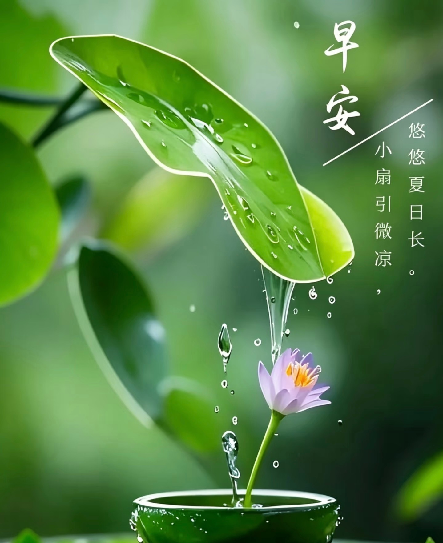 七月，好事接踵而至ˁ῁̮ˀ盛夏温柔可期，愿三餐烟火温暖，岁岁平安顺遂。把上半年所