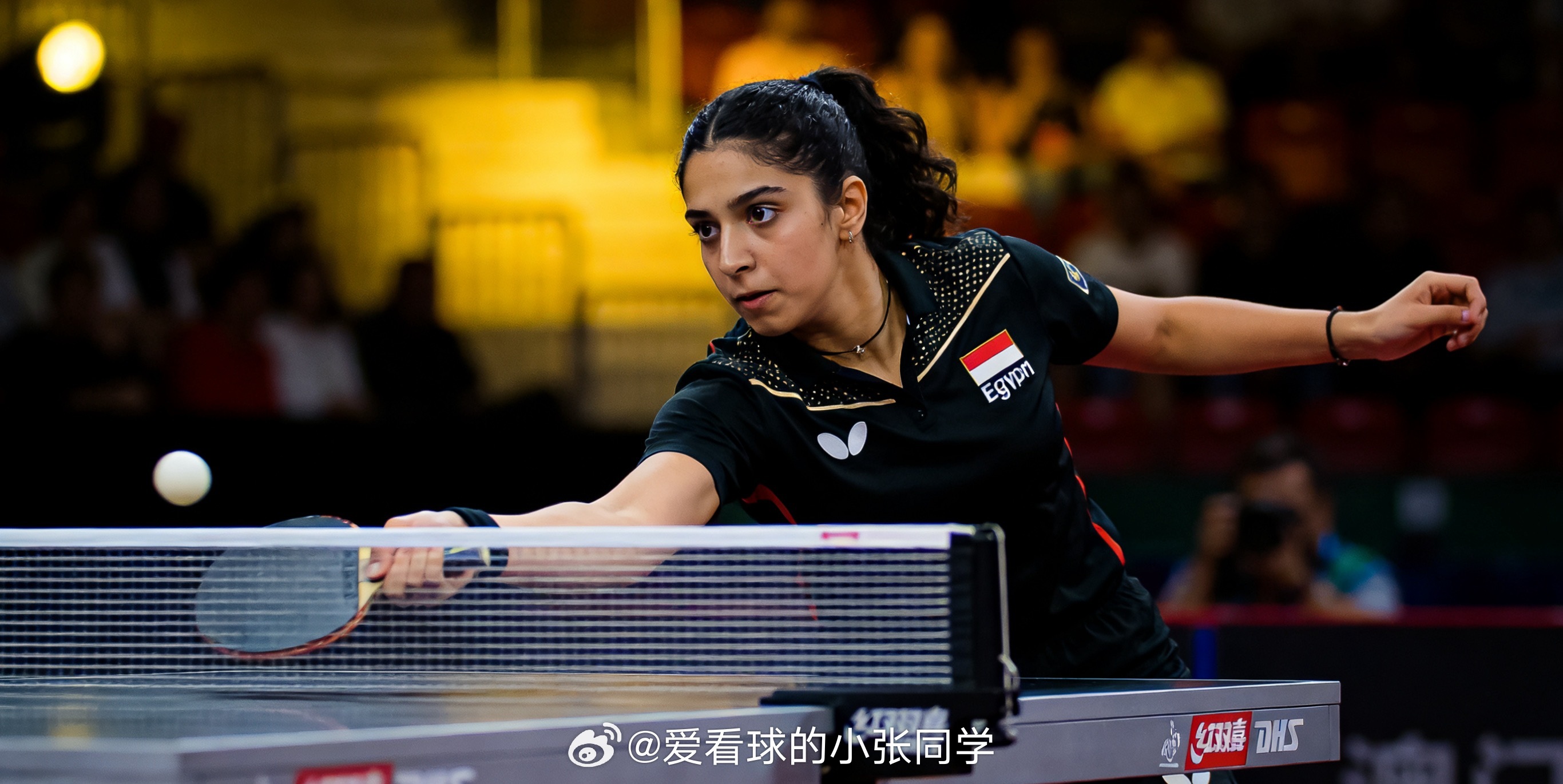汉娜·高达（Hana Goda），这位18岁的埃及乒乓球天才，在2026年澳门世