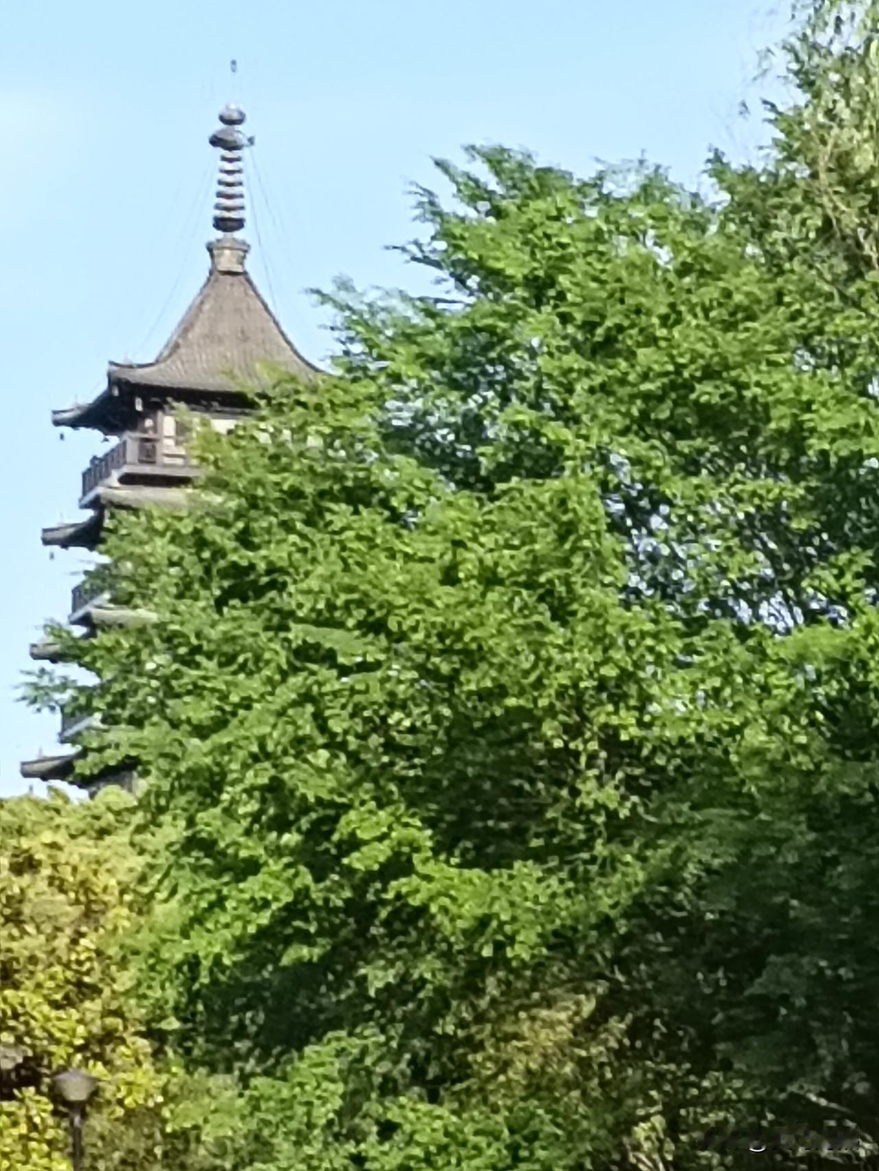 大家说说看，婚姻的真相到底是什么？

今天几个朋友聚在一起，其中有一个朋友哭的很