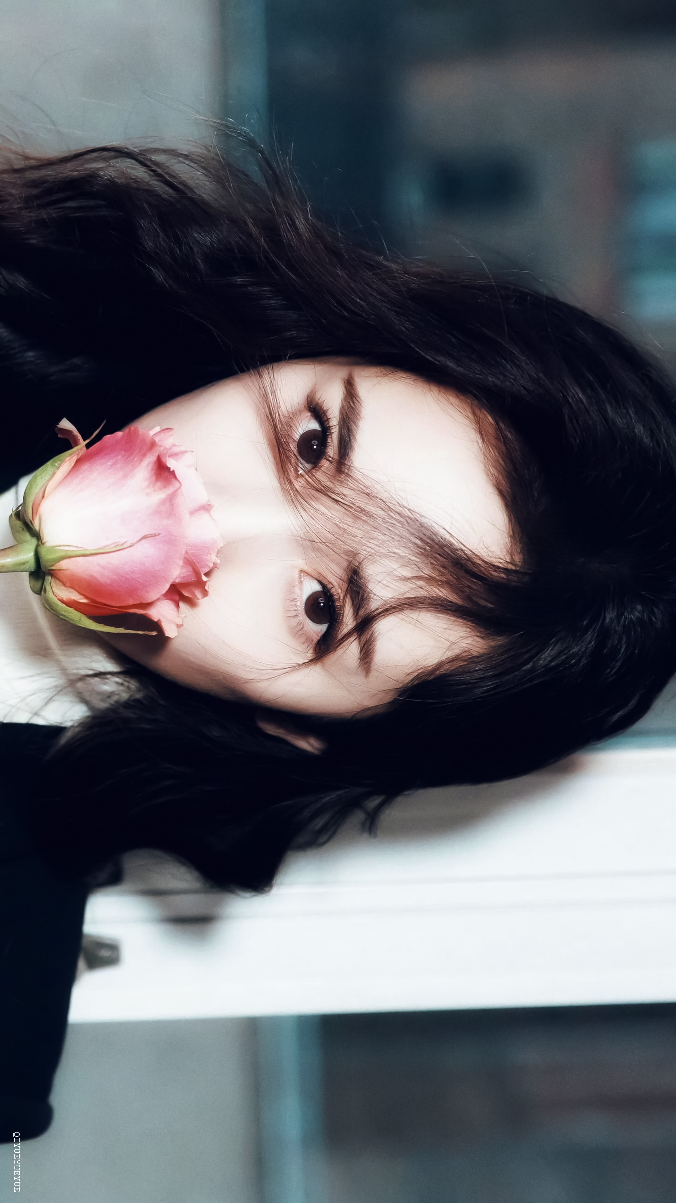 杨幂 🌹 