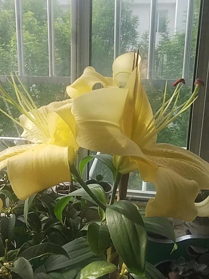 30岁后，我决定不再做的3件事

第一件：不再解释自己。
以前别人误解我，我会着