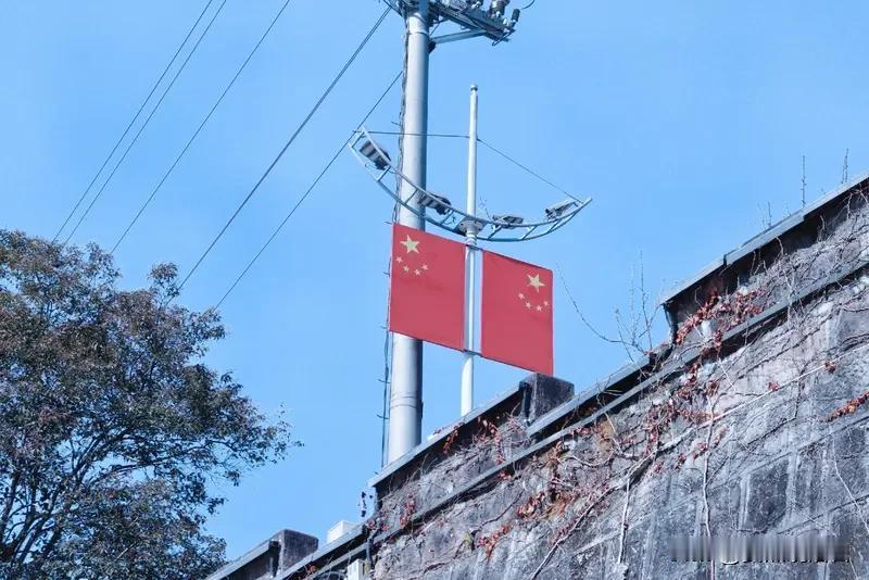 三名小孩捡到国旗，一路护送至派出所，这事儿太暖了！他们步行1.5公里，就为了给国