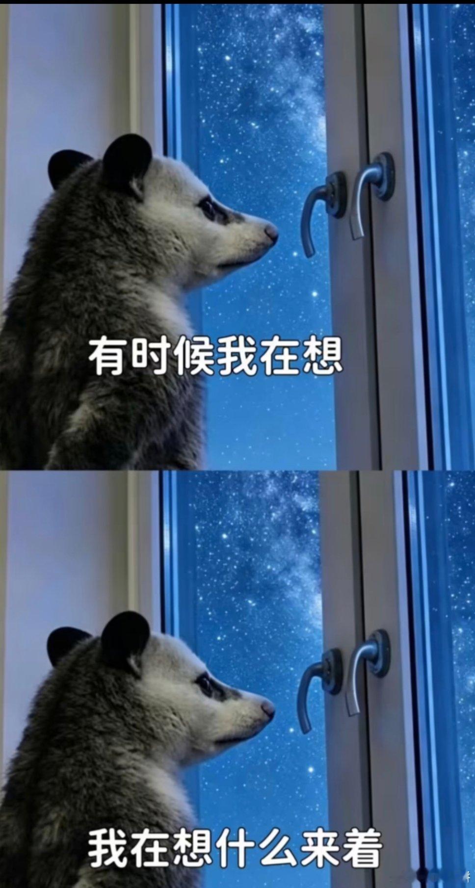 为什么单吃苹果觉得难吃，做成饮料咋就嫩好喝呢。 ​​​