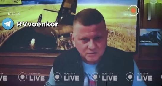 乌军前总司令扎卢日内发出警告：停战后，百万乌军或将成为隐患，乌克兰很有可能爆发内