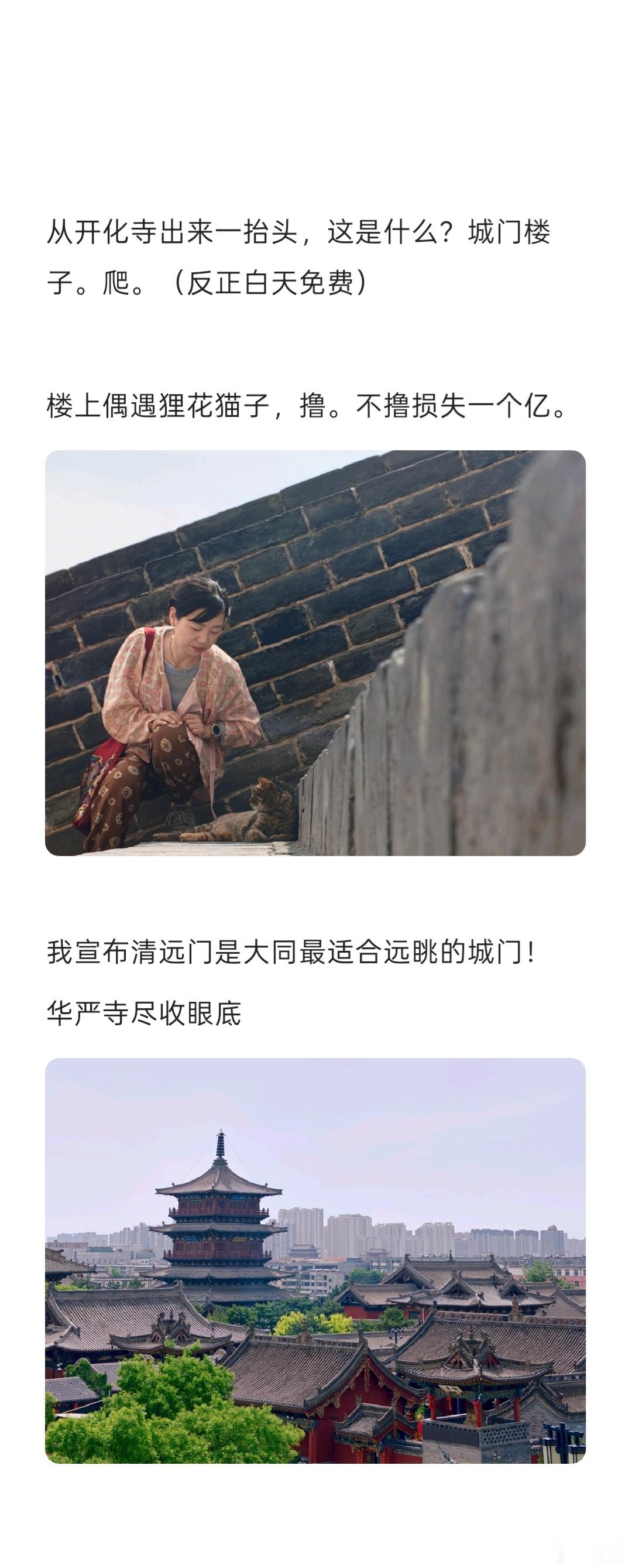 《论我在大同最后一上午共计四小时能干些什么》 大同