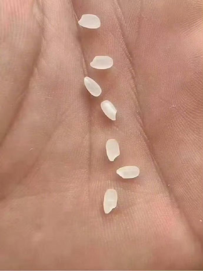 7粒米玄学，看见了不要无视，接好运！ 