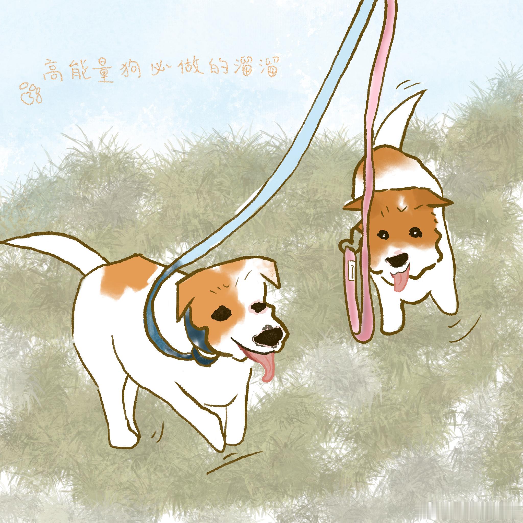 狗脚丫大，请为狗转身🐾 