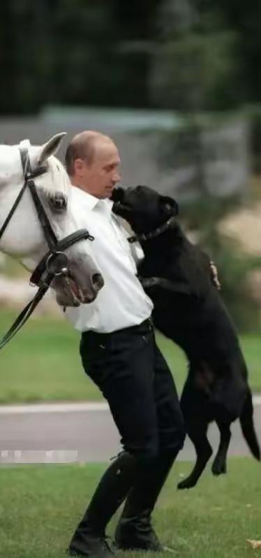 普京大帝厉害人真狠人
近日，俄罗斯干了一件让所有人都没想到的；同时解决俄乌战争停