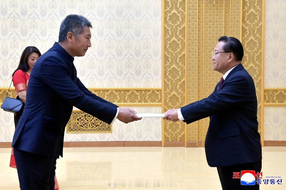 【崔龙海接受印度驻朝鲜特命全权大使递交国书】朝中社平壤１１月１４日电　朝鲜民主主