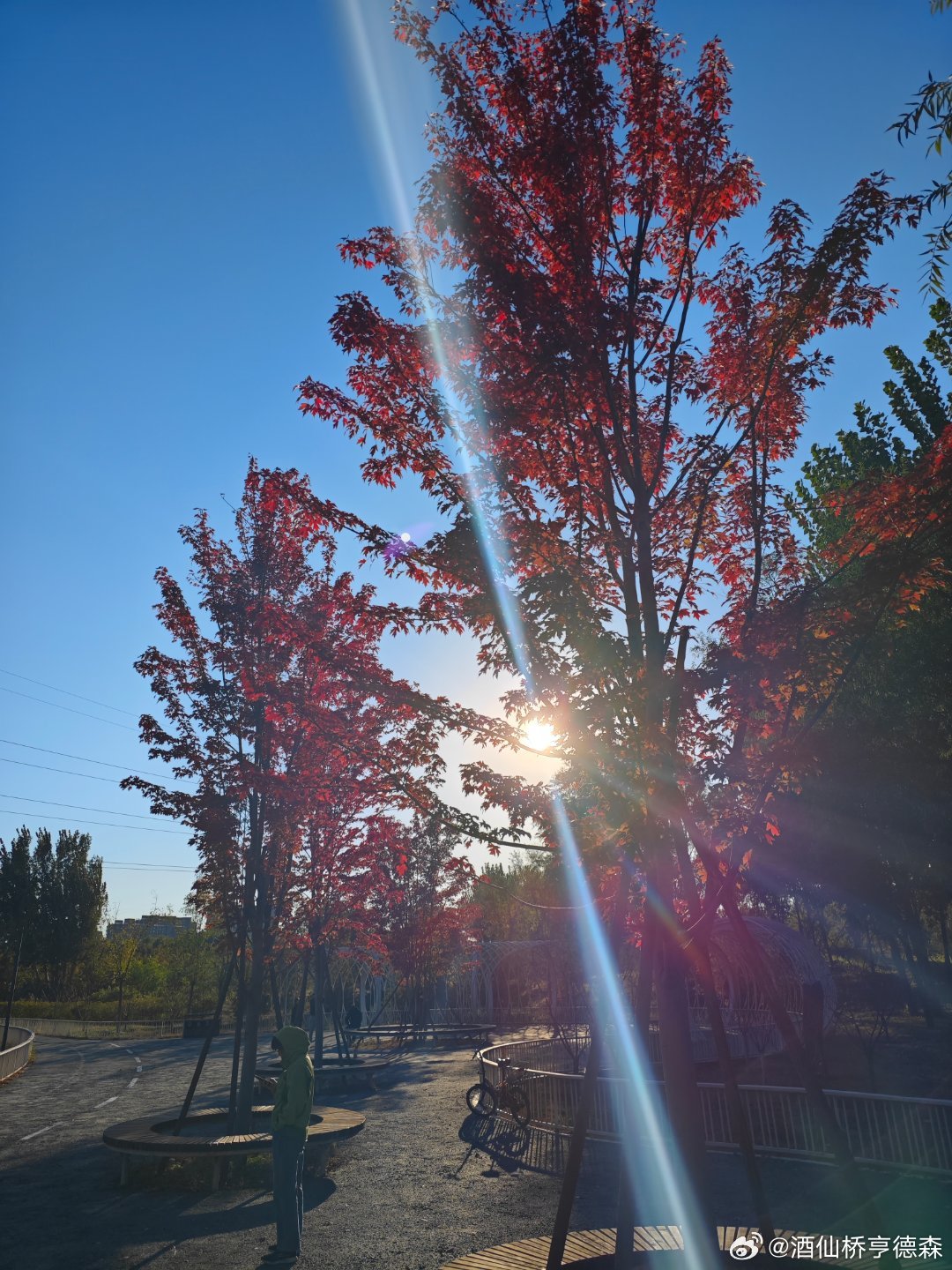 发现旁边有个宝藏公园，篮球场足球场网球场滑梯滑索蹦床等等应有尽有，免费人还不多。