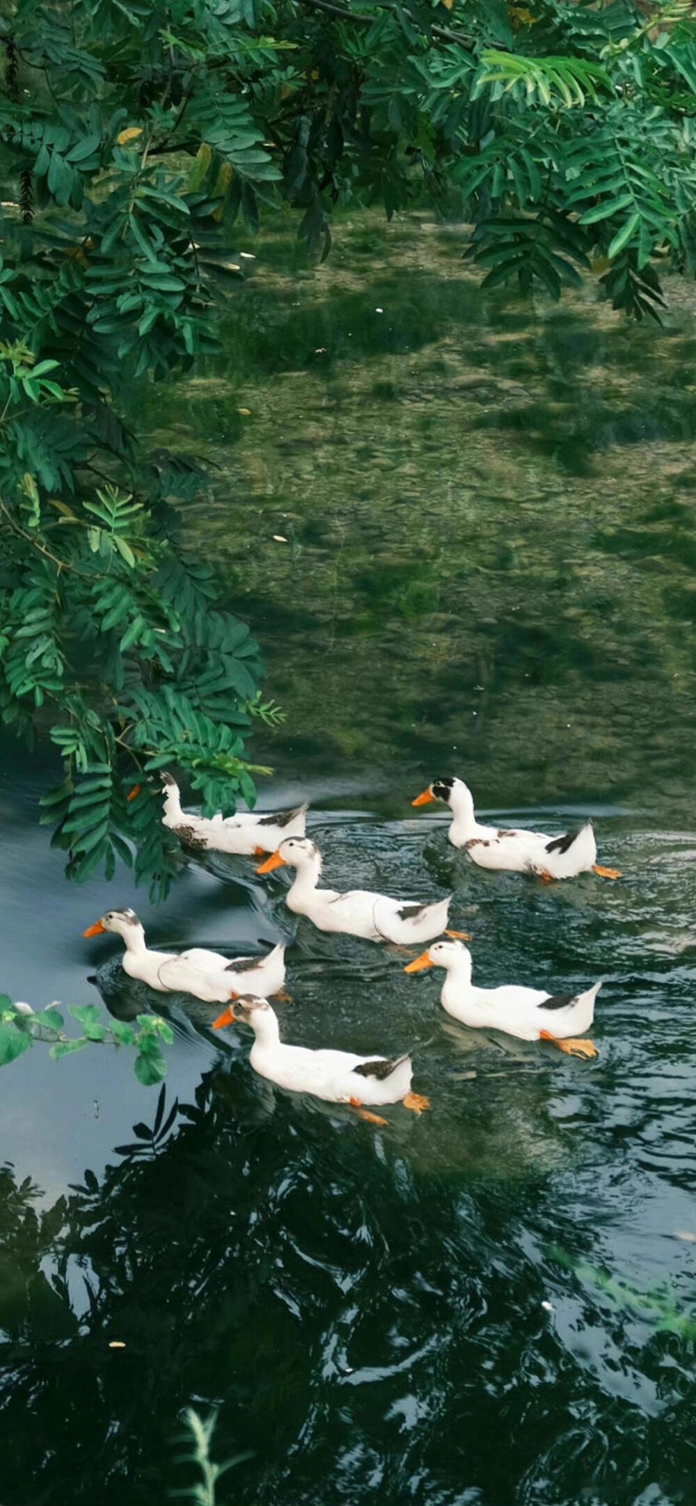 白羊座的兴趣切换比翻书还快。今天沉迷健身，下周迷上画画，大下周可能去学潜水。白羊