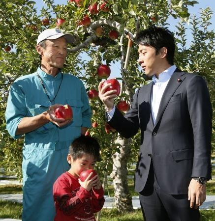 小泉次进郎手拿苹果咬几口，苹果甜不甜不知道，他吃得倒是挺甜的。