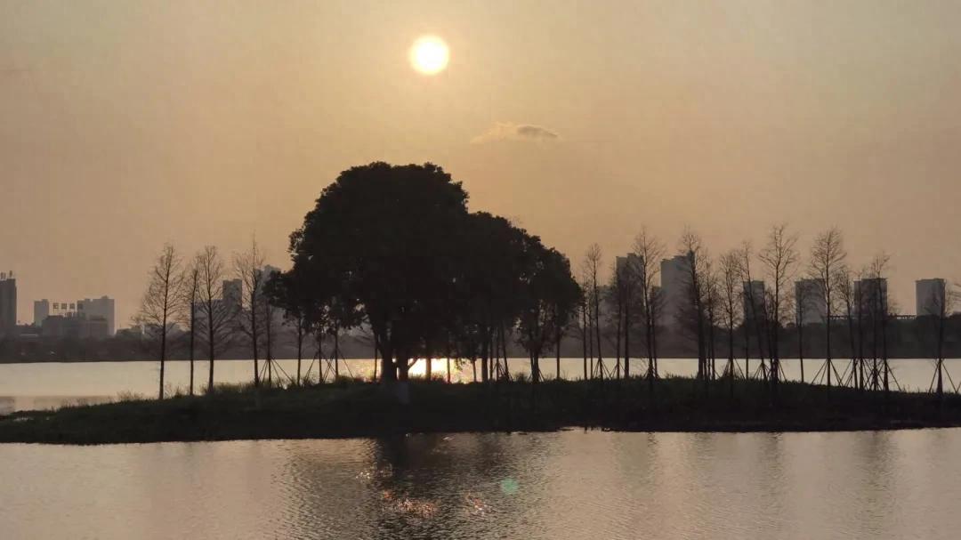 洗马湖湿地公园：樱花玉兰竞相绽放 春日美景醉游人