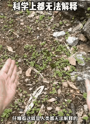 不懂就问，这个不是谁都可以做得到的吗？