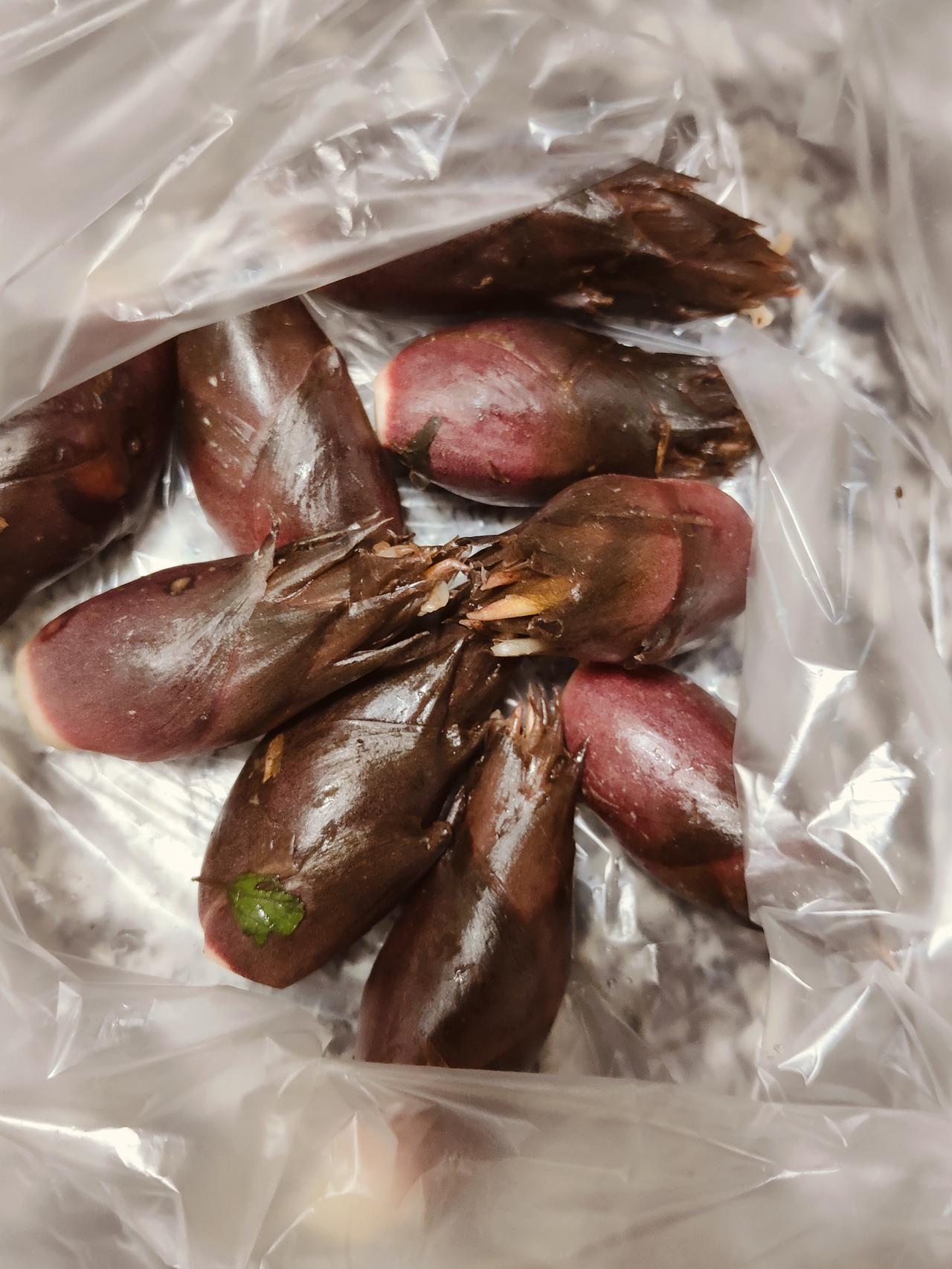 有人认识这个是什么菜嘛？
小时候家里种的这个
隔几天就会去看，长出来没有
拿来凉