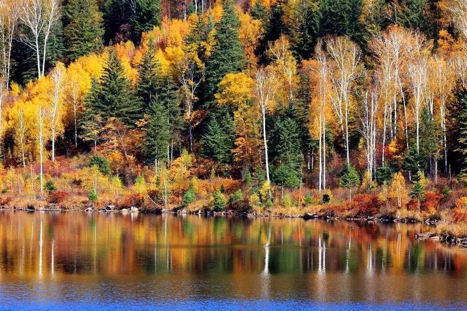 说几句东北，就有很多人说思想观念，比如说东北人不讲信用，东北人爱进体制。以我对东