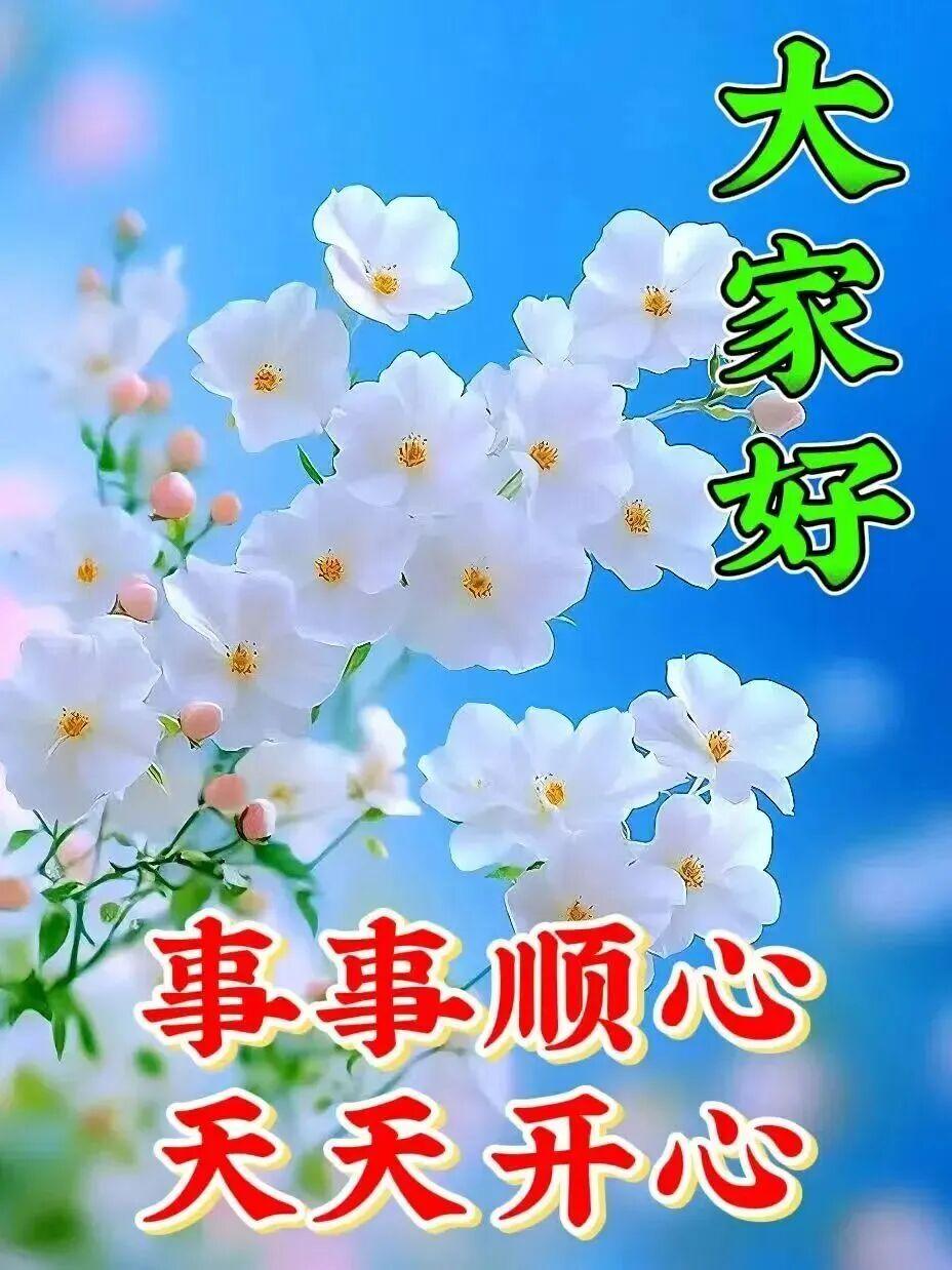 清晨送上真挚祝福，心情也随之明朗。心中有所牵挂，情谊愈发醇厚。愿你前路一帆风顺，