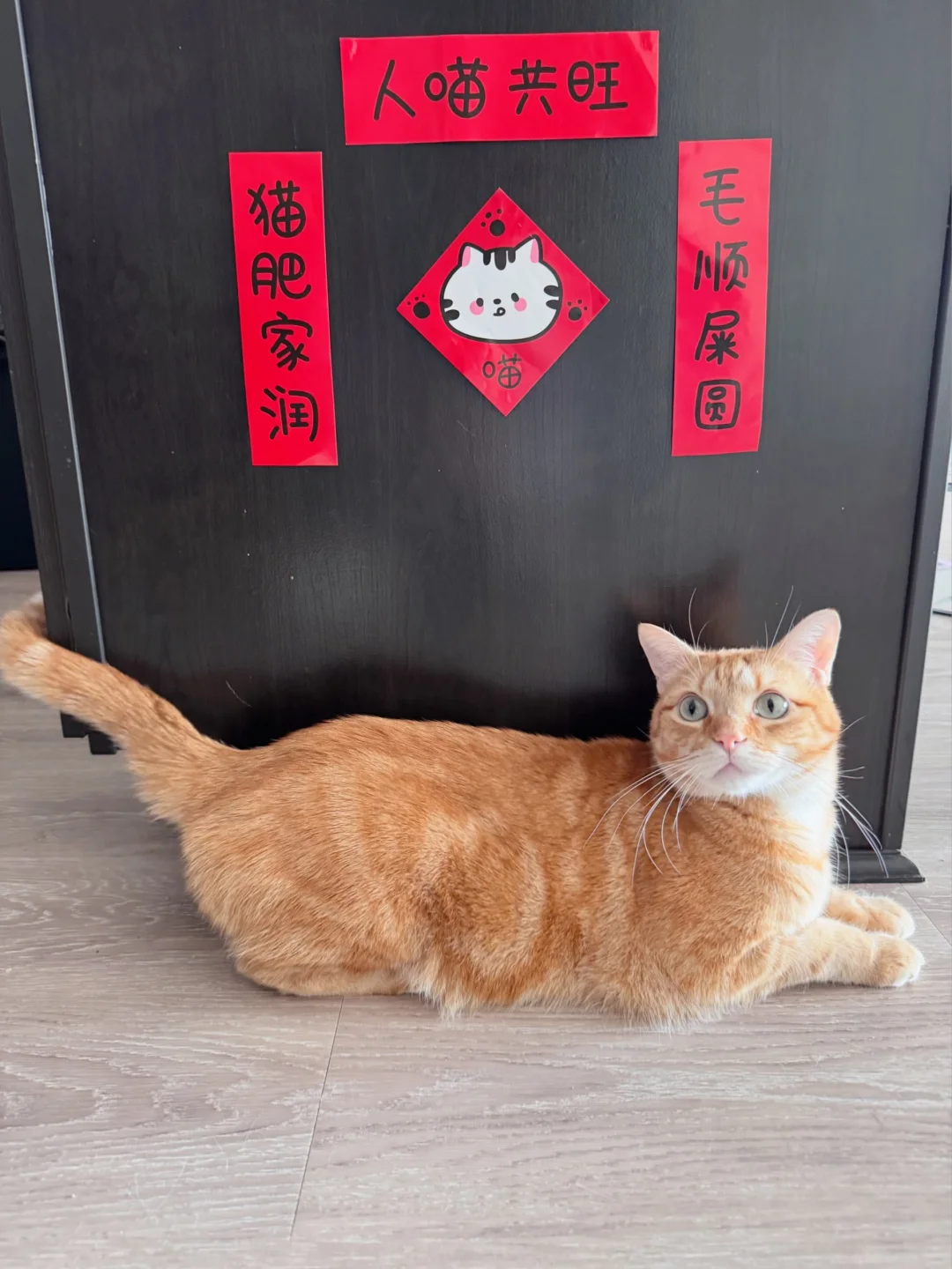 祝大家新的一年都大便通畅！