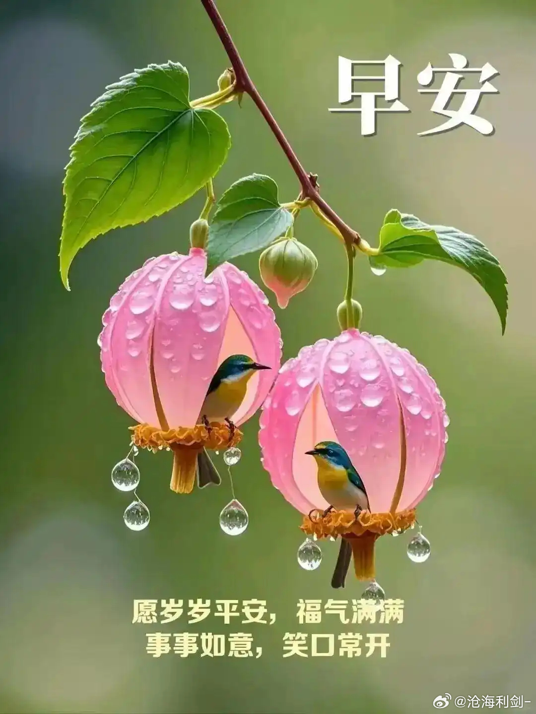 早安清晨醒来,先给自己一个微笑。日子平淡也珍贵，保持松弛，好运自会如约而至，早安