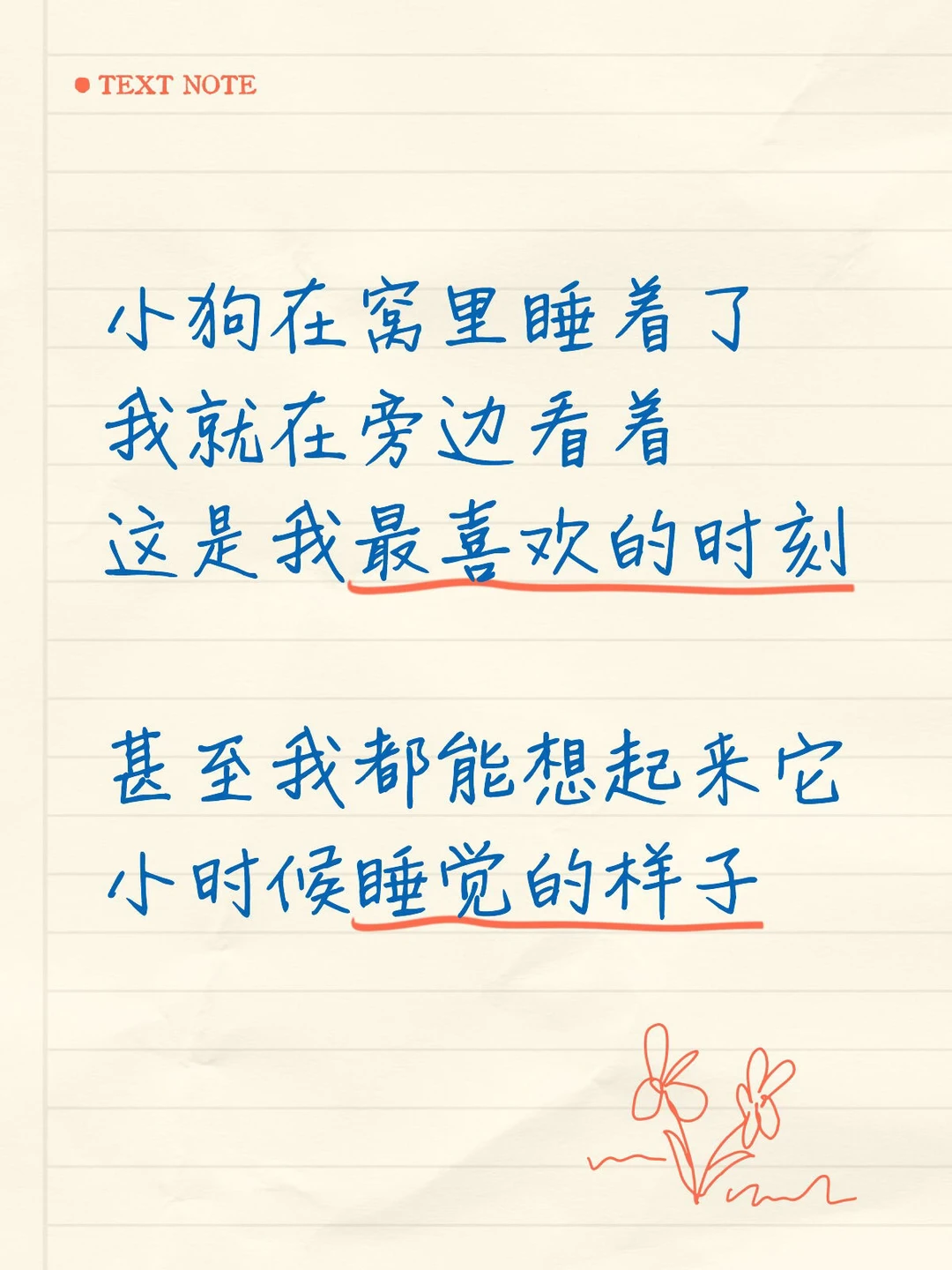 我和小狗互相照顾