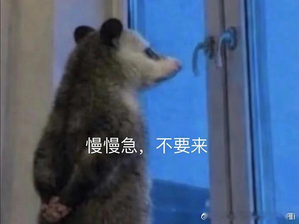 睡觉去了不看了随便涨让我看看能不能翻天降压药已经准备好4599沽也已经拿好至于下