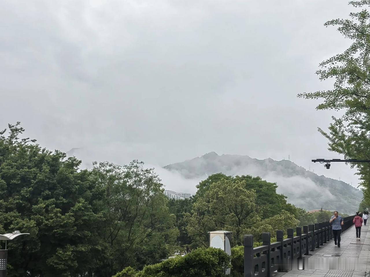 新安江的早晨
昨天是小雨到中雨到大雨，今日早晨六点多到七点多的随手拍。空气焕然一