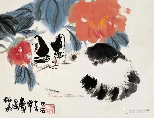 分享一张你的萌宠的照片