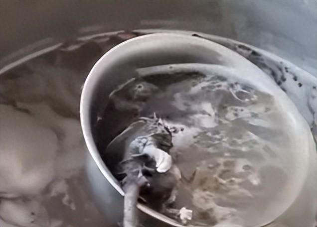 广西早餐店惊现死老鼠！这碗汤里，藏着多少食品安全的"定时炸弹"？
 
今天被广西