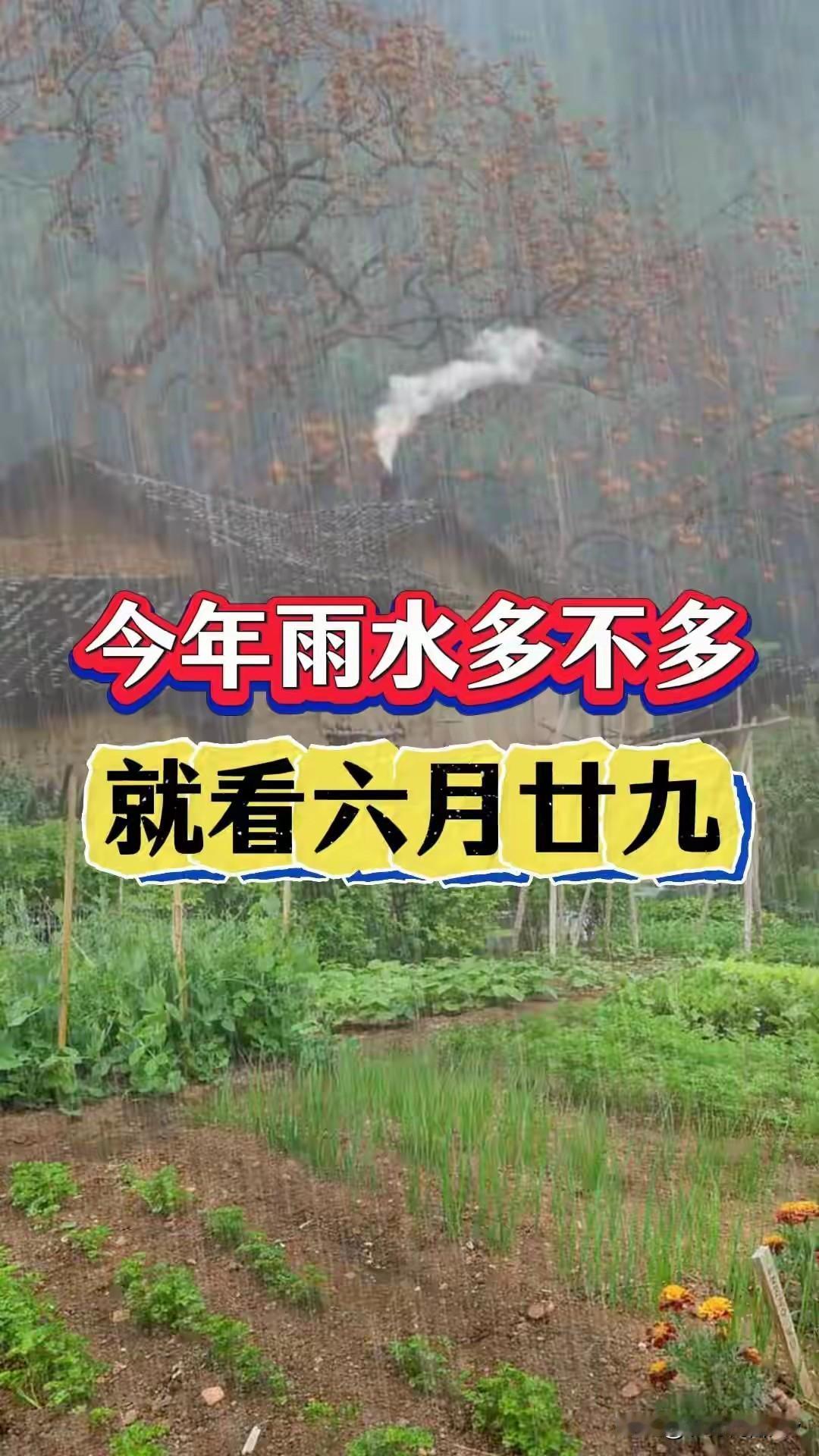 老人说：“热不热，就看六月廿九”，为啥？明日六月廿九，早知道
 
明天就是农历六