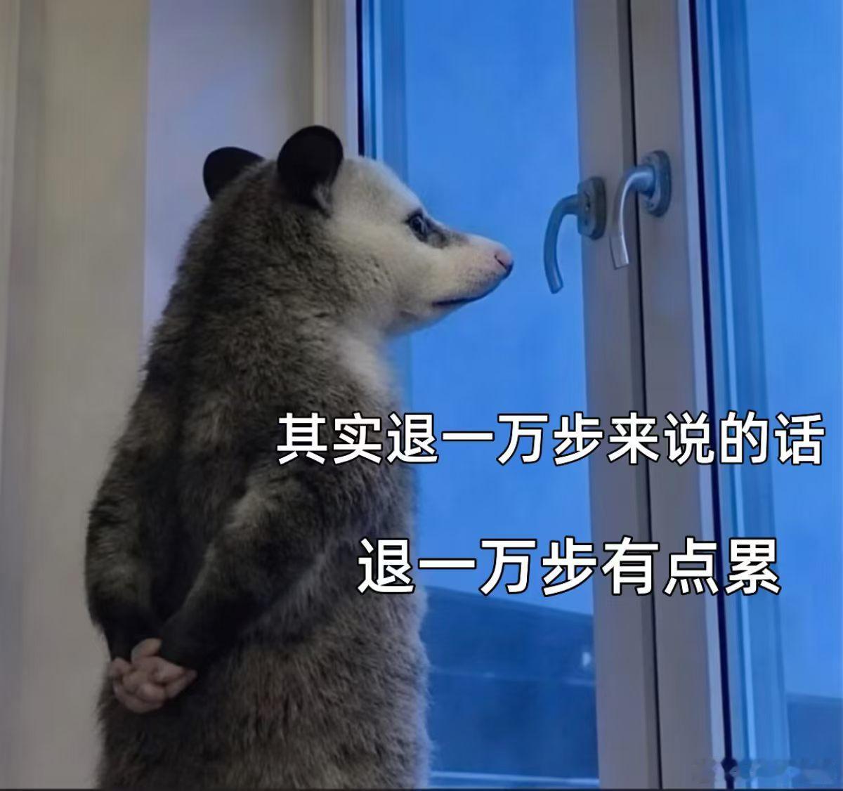 一个严重降低好感的小细节哇！像我这样爱分享的人开开心心分享个比较好玩儿的，对方听