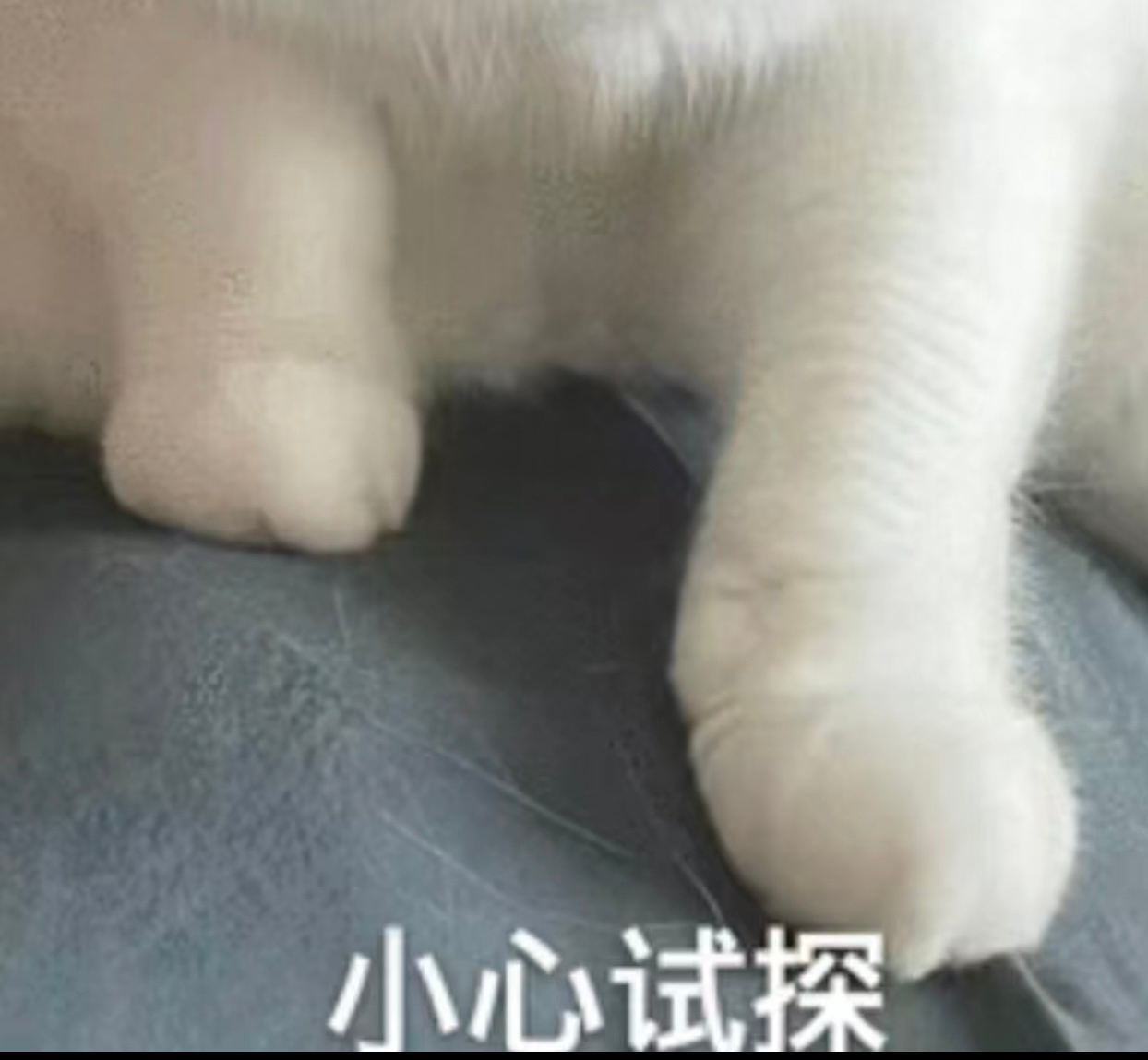 恋爱时可以互相试探吗 怎么说呢，恋爱中的相互试探其实也是增进感情的一种方式啊！！