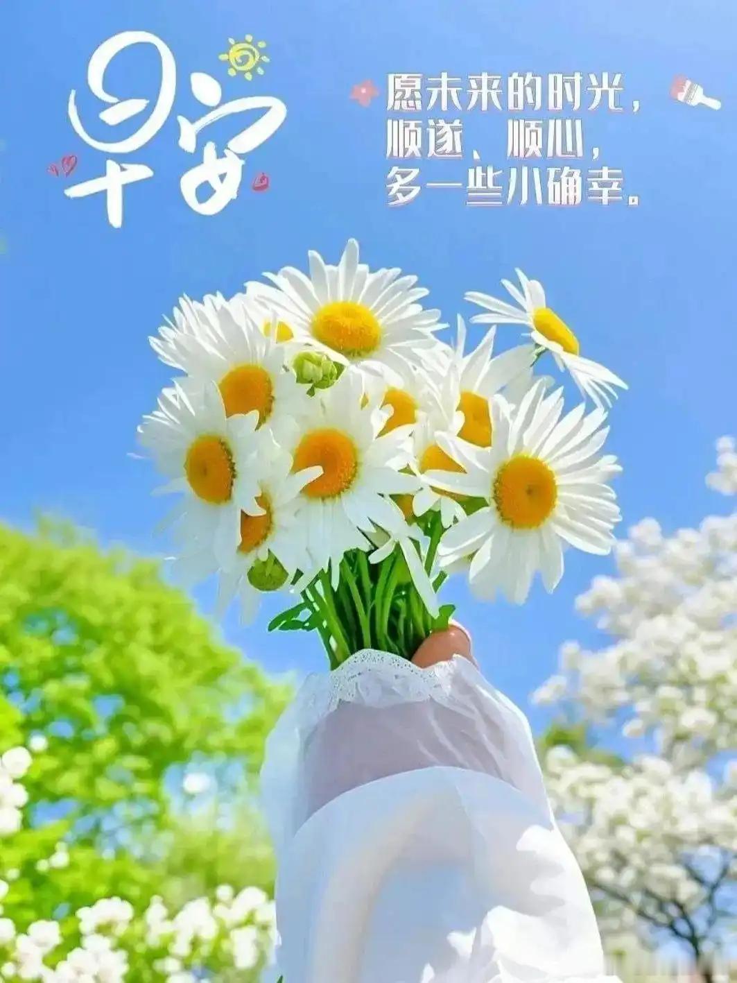 早上好，宝们！点赞打卡养成金粉体质新的一天，新的起航，评论区见真章！ 