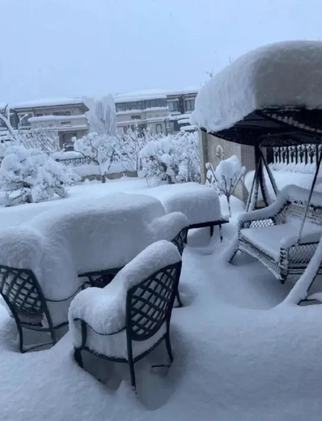山东威海下了“倾盆大瓢雪”

海上明月朝霞东，
最爱成山看日升。
琼瑶飘落呈美景