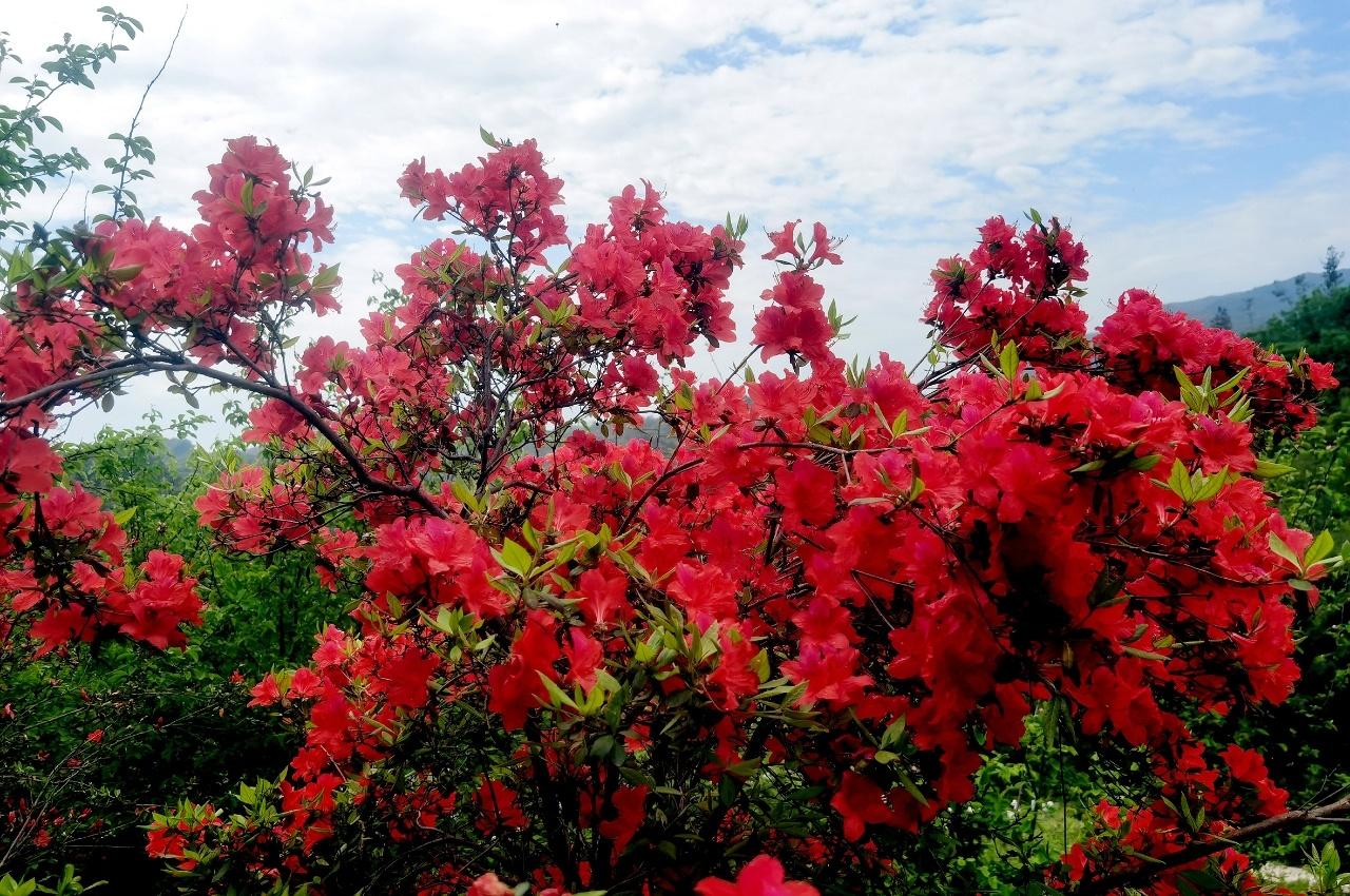 站桩的自信
    站桩锻炼的确很苦很累，特别是在站桩初期，全身的汗水，关节的不