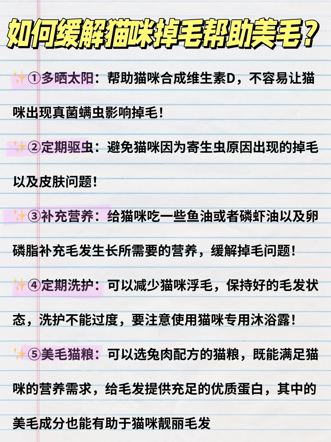 猫咪掉毛严重，别担心！试试这些秘籍！