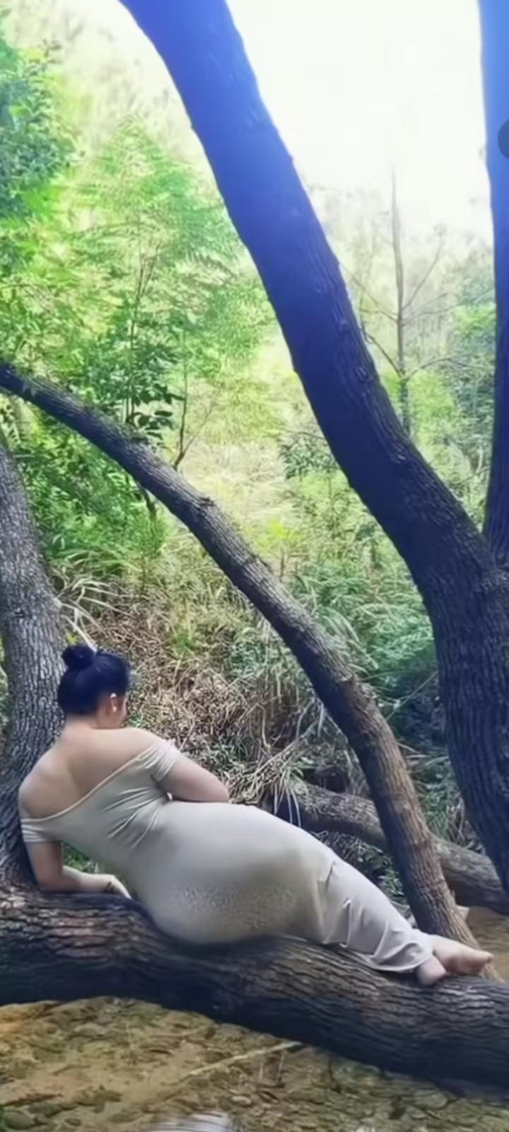 试对；

风起风息风未语
云聚云散云无影

******

网图侵删