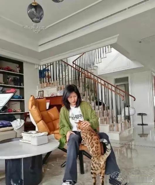 鲍蕾的房子太豪华了，她本想晒猫，结果却让大家更关注房子 
