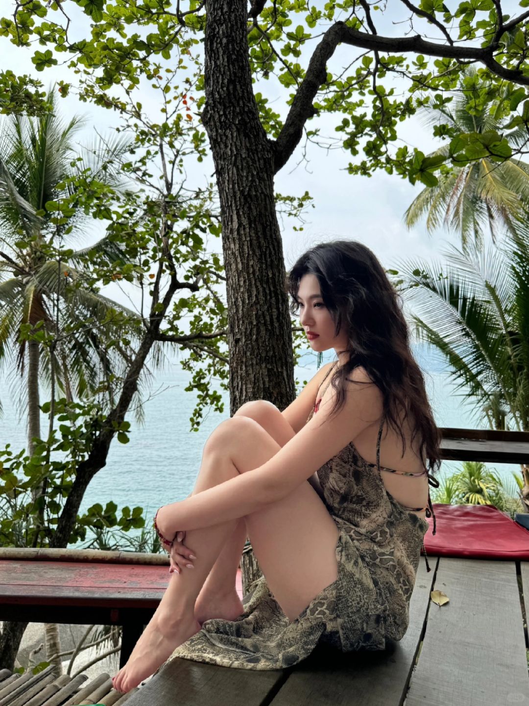🐍普吉岛丛林里的漂亮蟒蛇