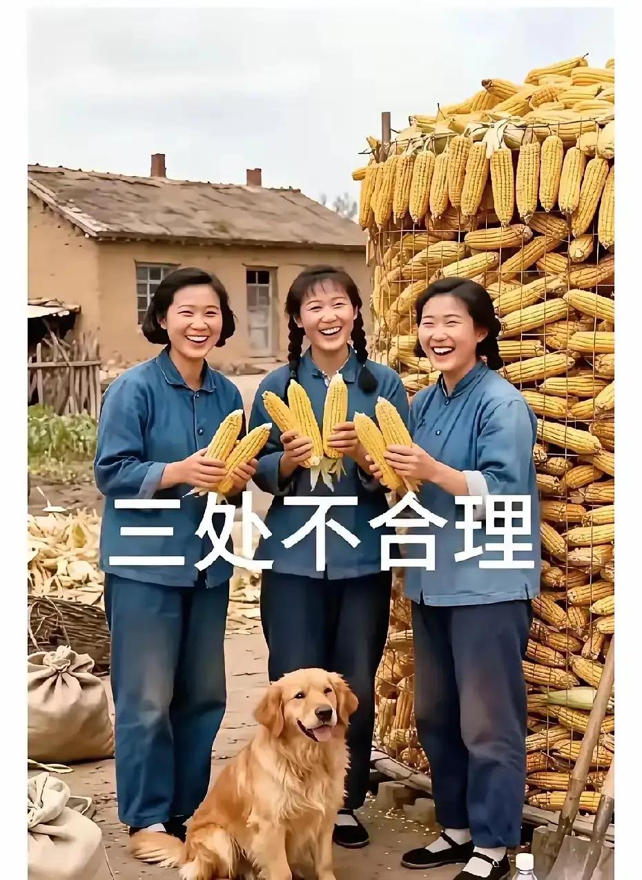 今年大丰收，
喜悦挂心头。
三处不合理，
请您找缘由。
