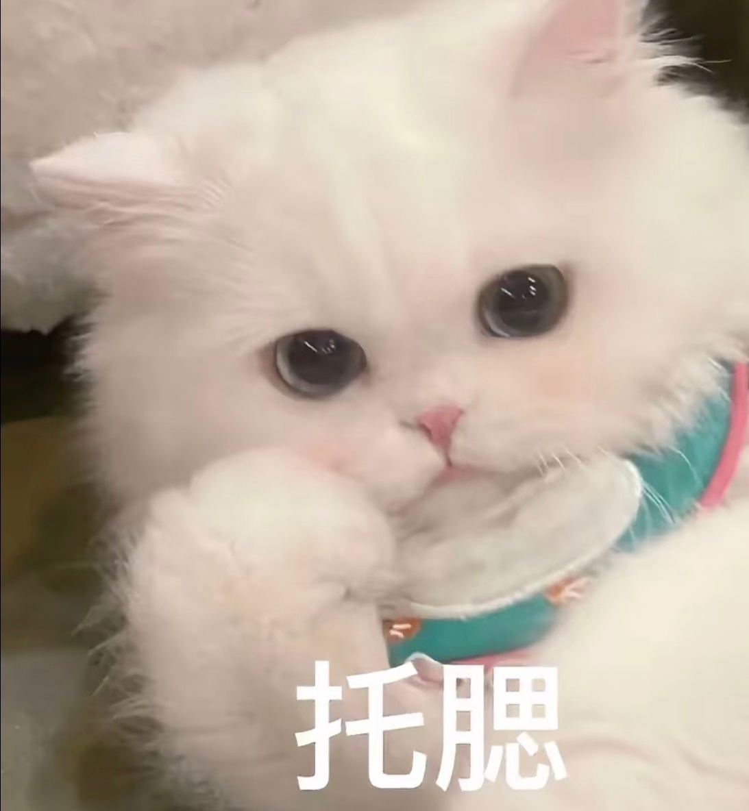 短道队多人为孙龙发声 今年冬奥会怎么了，是不是被什么东西wen住了